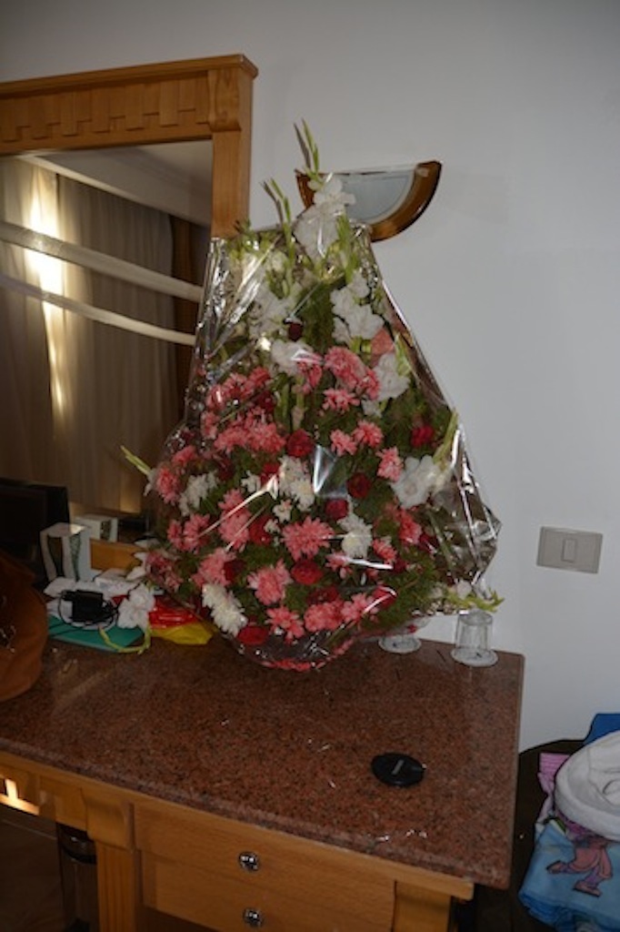 Servicewüste Ägypten – Teil 3 2 DSC 013321