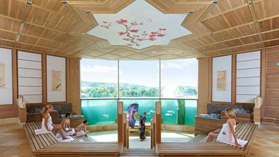 ADVENTS-GEWINNSPIEL: Die THERMEN & BADEWELT SINSHEIM auf Maikikii! 2 thermen und badewelt sinsheim koi sauna1