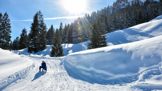 7 Winterausflüge für eine schöne Winterzeit 6 winterausfluege rodelbahn1